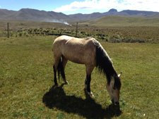 Ecuador-Haciendas-Cloud Forest Getaway Ride